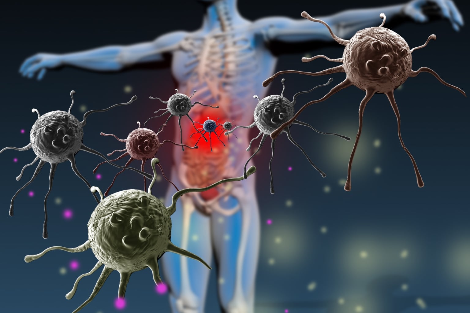 Immune System Deficiency
