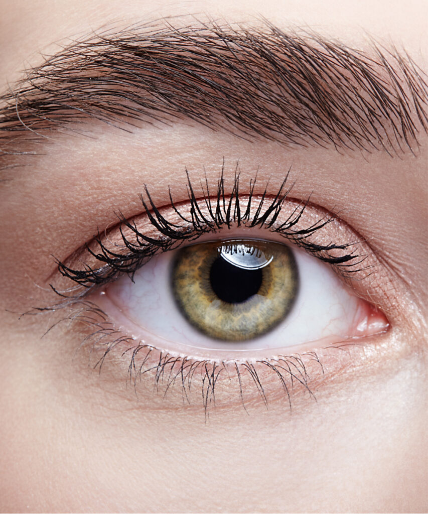 Photo of a woman's green eye, brow, and lashes